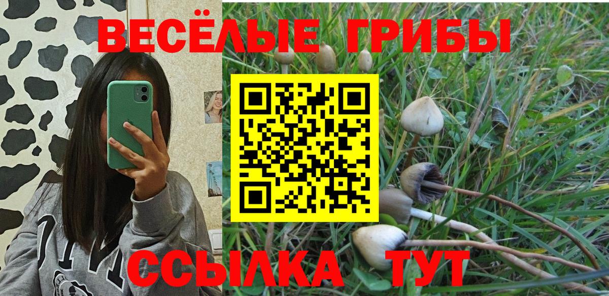 Дербент  Псилоцибиновые грибы Psilocybe  Вход с VPN 